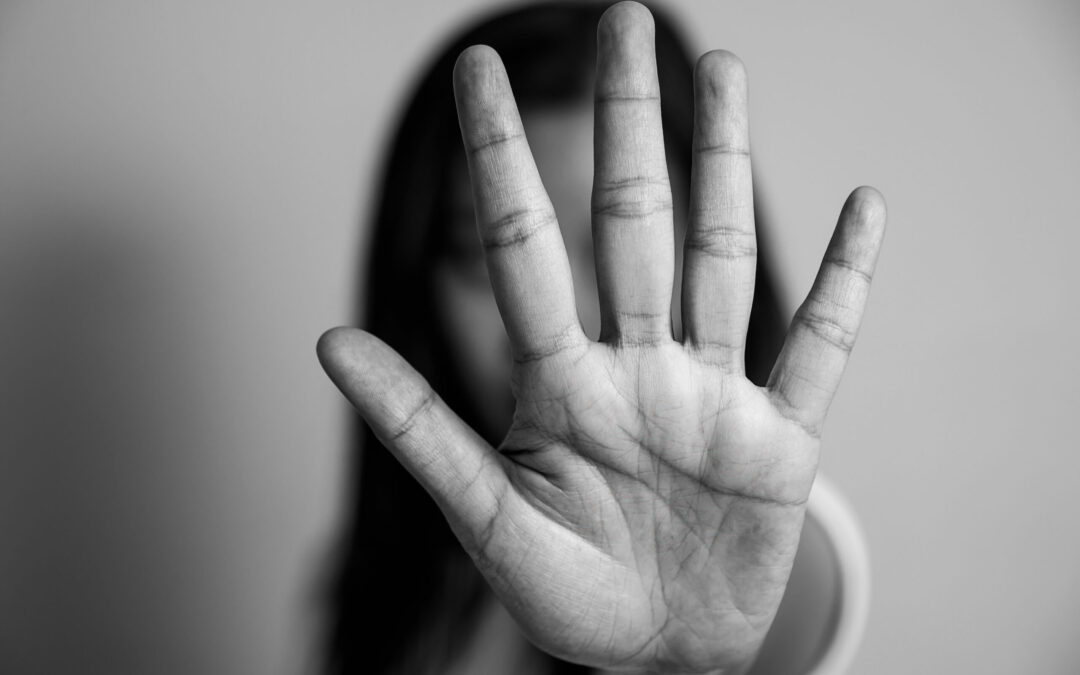 Regelmäßige Berichterstattung zur Situation der Frauenhäuser