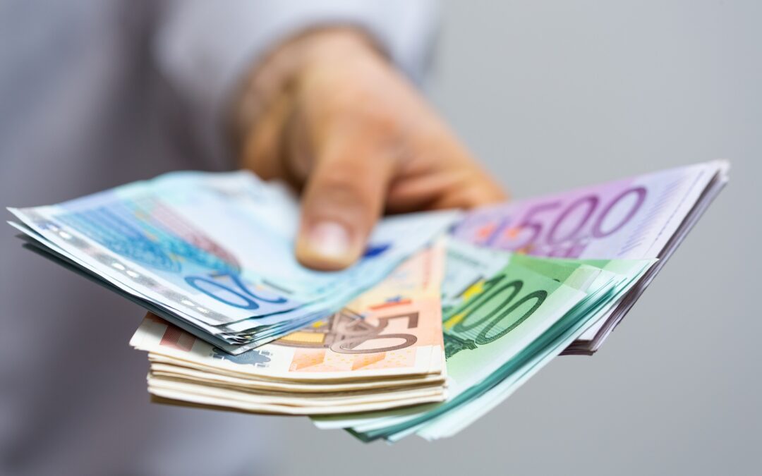 GRÜNE überweisen rund 29.000 Euro an Kreiskasse zurück