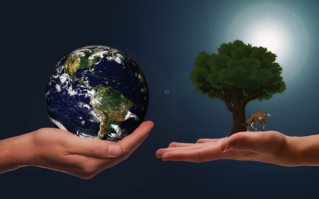 SPD Fraktion stellt Effekthascherei vor Klimaschutz